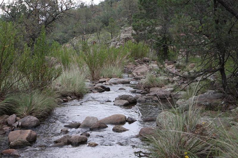 Madera Canyon Creek.jpg